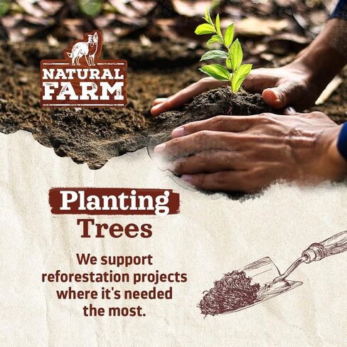 أعواد كولاجين الذواقة المغلفة من ناتشورال فارم (4 بوصات، 25 عبوة) - مغلفة بلحوم البقر الحقيقية، 95% من الكولاجين الطبيعي للمضغ للكلاب، تدعم المفاصل الصحية والجلد والفرو - الأفضل للكلاب الصغيرة والمتوسطة in Kuwait