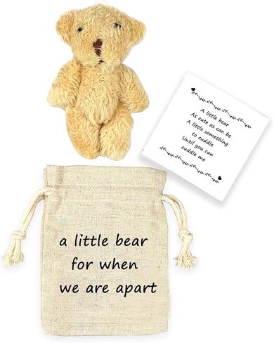 LUOKIFUR Pocket Bear Gift Long Distance Teddy Bear I Love You Gift Couple Memorial Gift Missing You Gift(we are Apart) in Kuwait