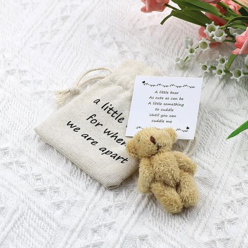 LUOKIFUR Pocket Bear Gift Long Distance Teddy Bear I Love You Gift Couple Memorial Gift Missing You Gift(we are Apart) in Kuwait