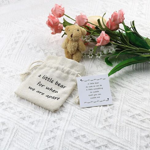 LUOKIFUR Pocket Bear Gift Long Distance Teddy Bear I Love You Gift Couple Memorial Gift Missing You Gift(we are Apart) in Kuwait