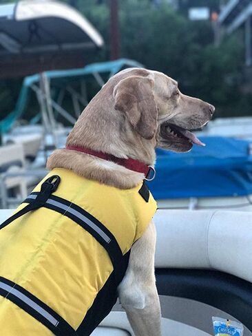 HAOCOO Dog Life Jacket Vest Saver Safety Swimsuit Preserver with Reflective Stripes/Adjustable Belt Dogs?Pink Bone,M in Saudi Arabia