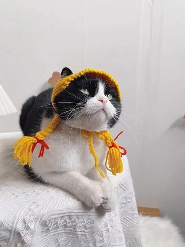 شعر مستعار للكلاب، شعر مستعار مجعد للكلاب، قابل للتعديل، زي للكلاب الأليفة، قبعة للقطط، مناسب للهالوين، الحفلات، التقاط الصور، شعر مستعار للكلاب الصغيرة والقطط (شعر أشقر مجعد) in Kuwait