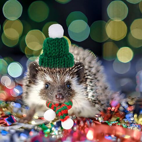 PStarDMoon 12 Pieces Small Animal Christmas Costume Guinea Pig Costume Mini Santa Hats Tiny Santa Hats with Scarfs and Butterfly Ties for Hamster Guinea Pig Chinchilla Hedgehog Rabbit (Green) (Green) in Kuwait