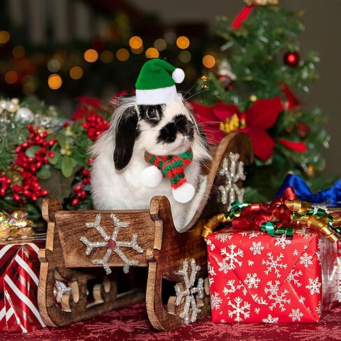 PStarDMoon 12 Pieces Small Animal Christmas Costume Guinea Pig Costume Mini Santa Hats Tiny Santa Hats with Scarfs and Butterfly Ties for Hamster Guinea Pig Chinchilla Hedgehog Rabbit (Green) (Green) in Kuwait