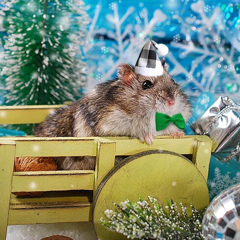 PStarDMoon 12 Pieces Small Animal Christmas Costume Guinea Pig Costume Mini Santa Hats Tiny Santa Hats with Scarfs and Butterfly Ties for Hamster Guinea Pig Chinchilla Hedgehog Rabbit (Green) (Green) in Kuwait