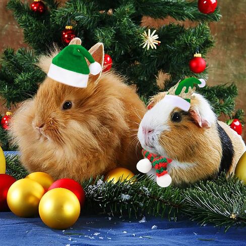 PStarDMoon 12 Pieces Small Animal Christmas Costume Guinea Pig Costume Mini Santa Hats Tiny Santa Hats with Scarfs and Butterfly Ties for Hamster Guinea Pig Chinchilla Hedgehog Rabbit (Green) (Green) in Kuwait