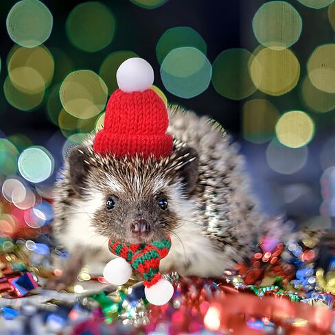 PStarDMoon 12 Pieces Small Animal Christmas Costume Guinea Pig Costume Mini Santa Hats Tiny Santa Hats with Scarfs and Butterfly Ties for Hamster Guinea Pig Chinchilla Hedgehog Rabbit (Green) (Green) in Kuwait