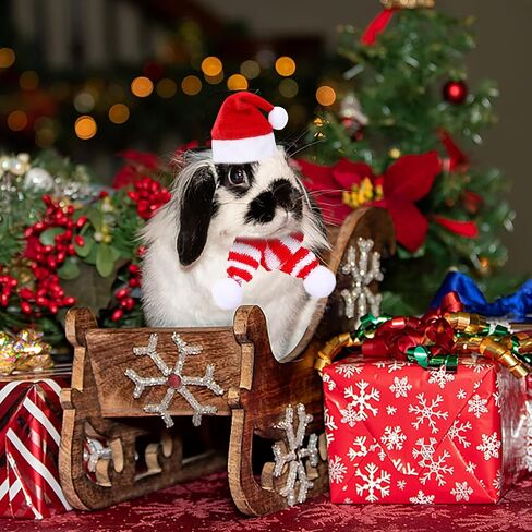 PStarDMoon 12 Pieces Small Animal Christmas Costume Guinea Pig Costume Mini Santa Hats Tiny Santa Hats with Scarfs and Butterfly Ties for Hamster Guinea Pig Chinchilla Hedgehog Rabbit (Green) (Green) in Kuwait