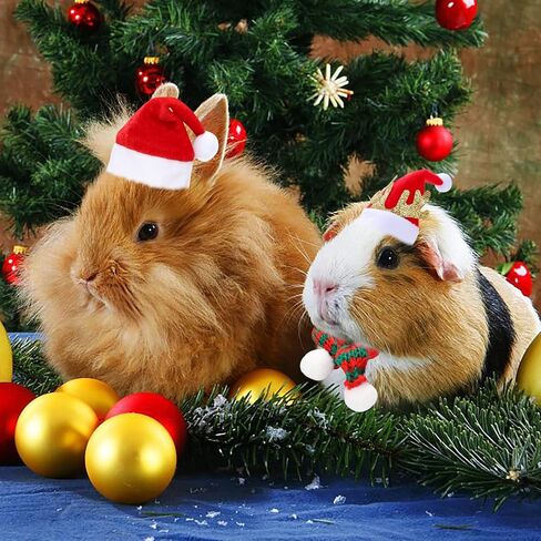 PStarDMoon 12 Pieces Small Animal Christmas Costume Guinea Pig Costume Mini Santa Hats Tiny Santa Hats with Scarfs and Butterfly Ties for Hamster Guinea Pig Chinchilla Hedgehog Rabbit (Green) (Green) in Kuwait