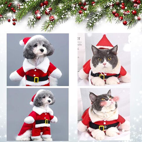 QETRABONE Santa Small Dog Costume Christmas Pet Outfits Red Christmas Santa Claus Hat Scarf Cosplay Dressing up Xmas Party Fashion New Year Clothing Accessories for Small Pet Cat Dog(Small, Santa) in Kuwait