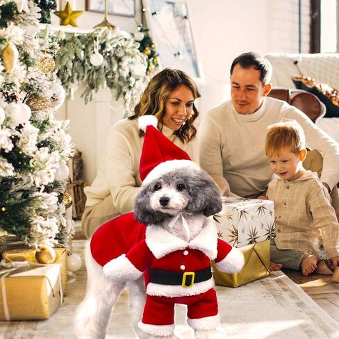 QETRABONE Santa Small Dog Costume Christmas Pet Outfits Red Christmas Santa Claus Hat Scarf Cosplay Dressing up Xmas Party Fashion New Year Clothing Accessories for Small Pet Cat Dog(Small, Santa) in Kuwait