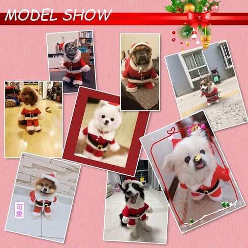 QETRABONE Santa Small Dog Costume Christmas Pet Outfits Red Christmas Santa Claus Hat Scarf Cosplay Dressing up Xmas Party Fashion New Year Clothing Accessories for Small Pet Cat Dog(Small, Santa) in Kuwait