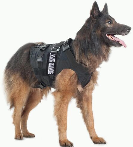 Pistha 12 Pieces Removable Tactical Dog Harness Service Dog Vest Patches Do Not Pet in Training and Emotional Support Dog Vest Patches(3.6 x 1.6Inch) in Kuwait