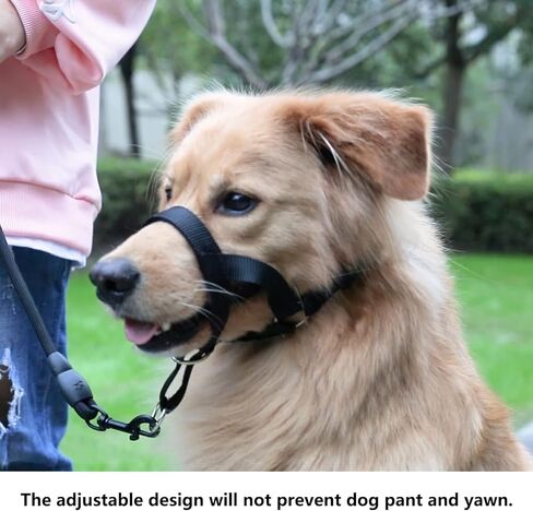 طوق رأس الكلب من وينتشوك بنسيج ناعم، حزام الرأس يمنع سحب الكلاب، مقود الرأس للكلاب الصغيرة والمتوسطة والكبيرة التي تمشي (S، أخضر تفاحي) in Kuwait