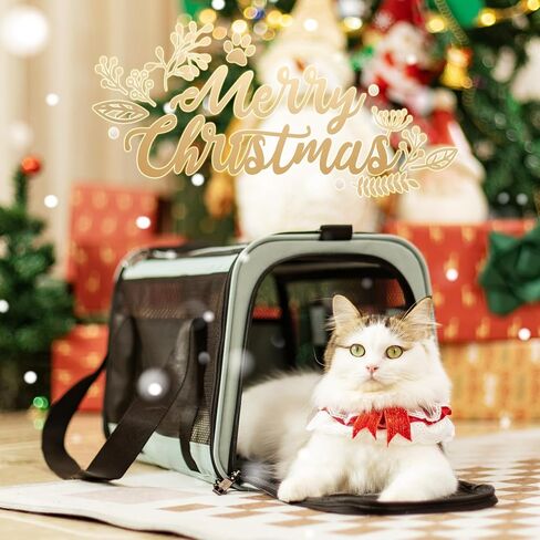 Petsfit 18 × 11 × 11 حاملة الحيوانات الأليفة معتمدة من شركة الطيران، حاملة للكلاب ناعمة الجوانب، خفيفة الوزن وقابلة للطي، تهوية على 5 جوانب، مقاومة للهروب، مع حزام كتف قابل للتعديل، وسادة ناعمة in Kuwait
