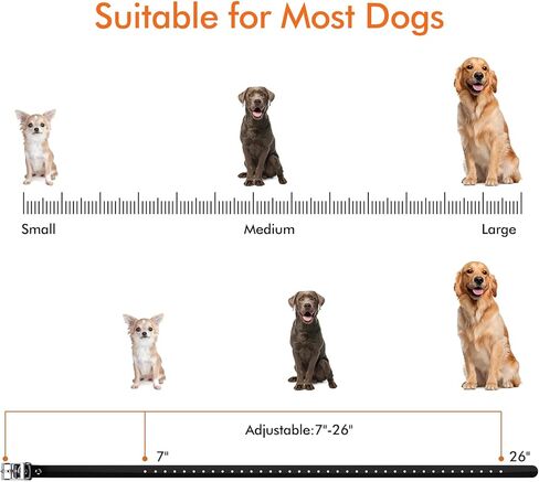 Wired Electric Dog Fence, Underground/Aboveground Pet Containment System (650Ft Wire, Waterproof & Rechargeable Collar, Shock/Tone Correction, Support 2 Dogs) in Kuwait