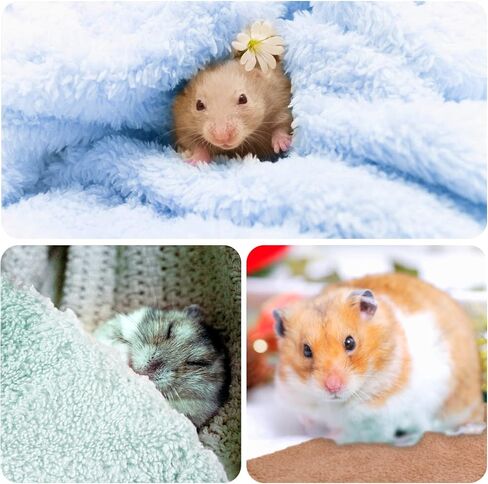 QUACOWW 10 Pieces Guinea Pig Blanket, Rabbits Hamster Fleece Cage Liners, Small Animals Bedding Mats, Soft Guinea Pig Accessories Bathe Towels for Small Animals Pets Dog Puppy Cat in Kuwait