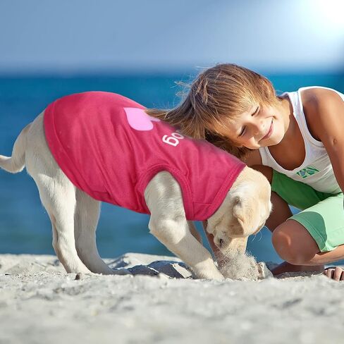 6 Pieces Dog Shirt Puppy Sweatshirt Pet Sleeveless Vest Girl Dog Clothes Doggy Female Apparel for Small to Medium Dogs Puppy Cat (Cute Patterns, L Size) in Saudi Arabia