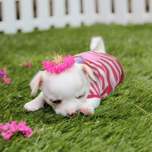 6 Pieces Dog Shirt Puppy Sweatshirt Pet Sleeveless Vest Girl Dog Clothes Doggy Female Apparel for Small to Medium Dogs Puppy Cat (Cute Patterns, L Size) in Saudi Arabia