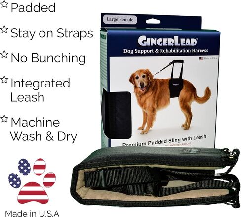 حزام دعم الورك من GINGERLEAD، مقاس X-Small يناسب الحيوانات الأليفة الصغيرة التي يقل وزنها عن 25 رطلاً والكلاب الألمانية المصابة بمرض IVDD، أو مرض القرص الفقري، أو إصابات الظهر. مساعدة كبار السن، أو المشلولين، أو الحيوانات الأليفة المتعافية. in Kuwait