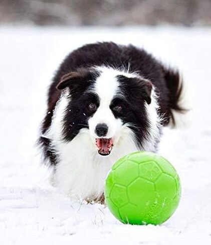 Jolly Pets Medium Soccer Ball Floating-Bouncing Dog Toy, 6 inch Diameter, Ocean Blue in Saudi Arabia