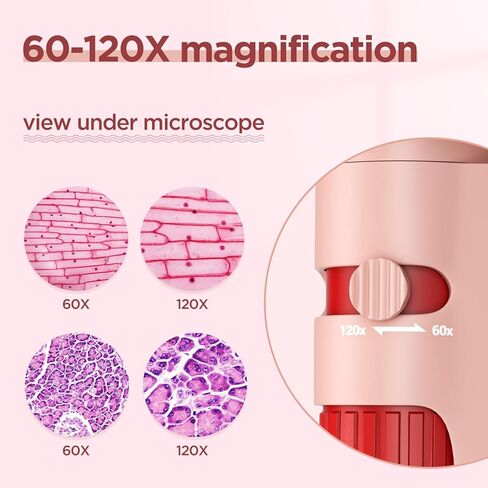 مجهر جيب LAKWAR للأطفال، مجهر صغير محمول 60x-120x مع 5 مجموعات شرائح مجهر، مجهر صغير للأطفال والطلاب والكبار ومختبر المدرسة المنزلية in Kuwait