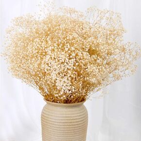 Dried Babys Breath Flowers Bouquet-17 Inch 2500+ Ivory White Dry Flowers, Natural Gypsophila Branches for Wedding, Table Vase Decor, DIY Wreath Floral, Home Office Party Garden Decoration (3oz)