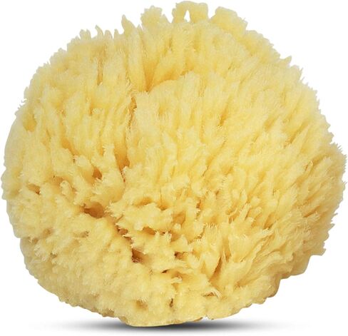 Baby Buddy Natural Wool Sea Sponge, Baby Bath Sponge, Soft on Tender Skin, Hypoallergenic, Brown, 4.5in, 4 Count in Saudi Arabia