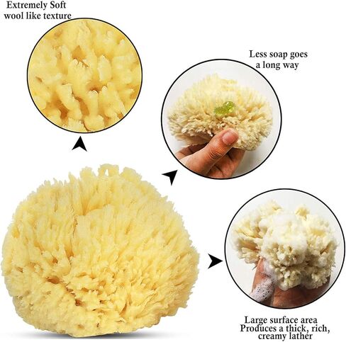 Baby Buddy Natural Wool Sea Sponge, Baby Bath Sponge, Soft on Tender Skin, Hypoallergenic, Brown, 4.5in, 4 Count in Saudi Arabia