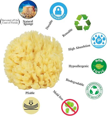 Baby Buddy Natural Wool Sea Sponge, Baby Bath Sponge, Soft on Tender Skin, Hypoallergenic, Brown, 4.5in, 4 Count in Saudi Arabia