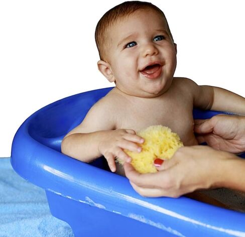 Baby Buddy Natural Wool Sea Sponge, Baby Bath Sponge, Soft on Tender Skin, Hypoallergenic, Brown, 4.5in, 4 Count in Saudi Arabia