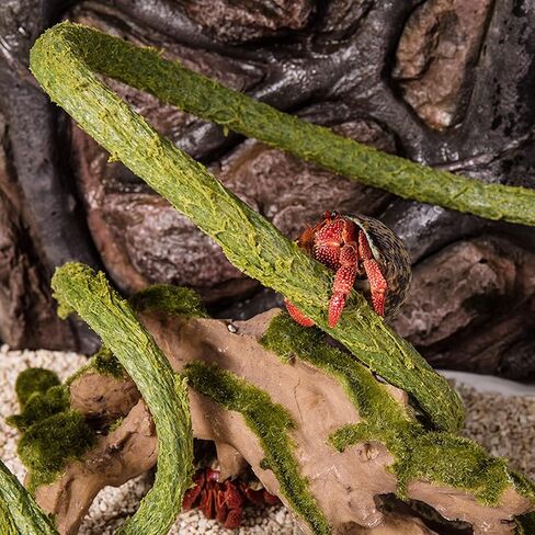 Hermit Crab Climbing Toys, Jungle Vines for Reptiles, Small Animal Terrarium Decor, Bendable, Artificial, for Hermit Crab, Frog, Reptile in Kuwait
