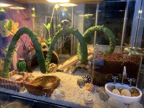Hermit Crab Climbing Toys, Jungle Vines for Reptiles, Small Animal Terrarium Decor, Bendable, Artificial, for Hermit Crab, Frog, Reptile in Kuwait