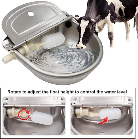 وعاء سقي أوتوماتيكي من الفولاذ المقاوم للصدأ من AWEN، سقي تلقائي للماشية والحيوانات الأليفة للكلاب والماشية والحصان والأغنام والماعز مع أنبوب صمام مياه عائم ومحول 3/4 بوصة in Kuwait