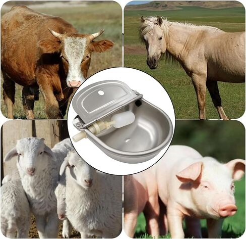 وعاء سقي أوتوماتيكي من الفولاذ المقاوم للصدأ من AWEN، سقي تلقائي للماشية والحيوانات الأليفة للكلاب والماشية والحصان والأغنام والماعز مع أنبوب صمام مياه عائم ومحول 3/4 بوصة in Kuwait