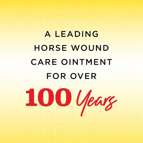 Manna Pro Corona Ointment for Horses | Lanolin-Based Formula Helps Sooth Irritation | 14 Ounces in Saudi Arabia