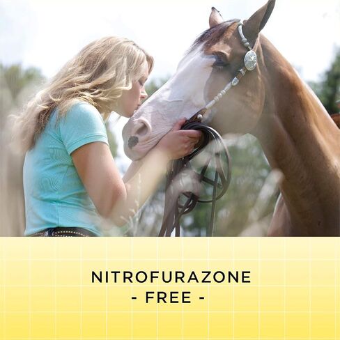 Manna Pro Corona Ointment for Horses | Lanolin-Based Formula Helps Sooth Irritation | 14 Ounces in Saudi Arabia