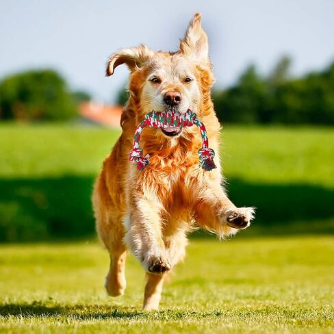 Rope Dog Toys, 5 Packs Cotton Puppy Teething Chew Toys Interactive Christmas Dog Stocking Stuffers Rope Toys for Small Medium Dogs with Bag in Kuwait