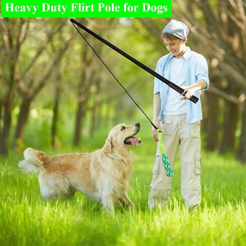 GOOSEEN Flirt Pole for Medium Dogs Interactive Dog Toy Tug of War Dog Agility Training Equipment for Outdoor and Indoor Fishing Pole Toy for Dogs Exercise Training Playing in Kuwait