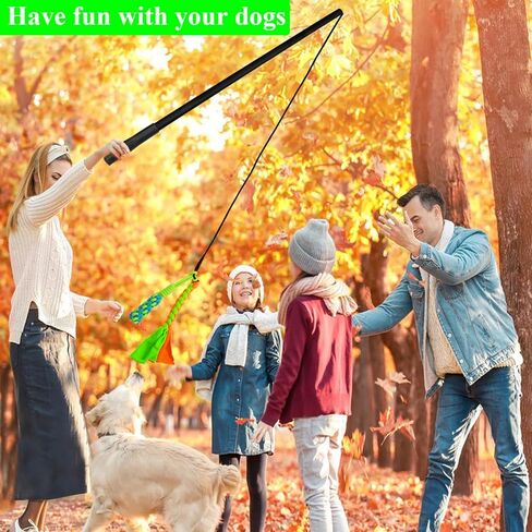 GOOSEEN Flirt Pole for Medium Dogs Interactive Dog Toy Tug of War Dog Agility Training Equipment for Outdoor and Indoor Fishing Pole Toy for Dogs Exercise Training Playing in Kuwait