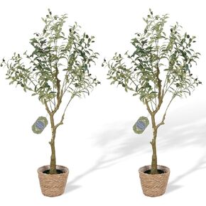 VaryFloral 5FT شجرة زيتون وهمية مع سلة منسوجة شجرة زيتون صناعية من الحرير الواقعي مع فواكه 5 أقدام شجرة خضراء اصطناعية بوعاء نبات صناعي لديكور المنزل وغرفة المعيشة وغرفة النوم وأرضية الحمام in Kuwait