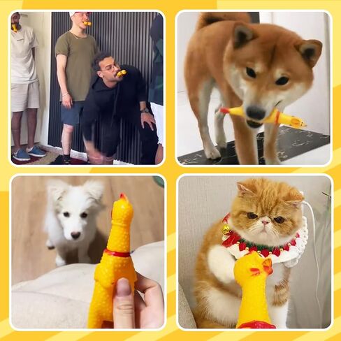 30 قطعة من لعبة الدجاج الصراخ من هداجبن، دجاج ضغط مطاطي اصفر، العاب مبتكرة للحيوانات الاليفة، العاب صاخبة للكلاب، هدايا عيد الميلاد، لعبة صانع الضوضاء in Kuwait