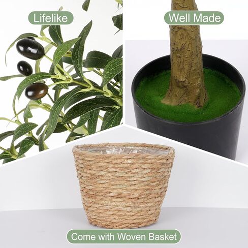 VaryFloral 5FT شجرة زيتون وهمية مع سلة منسوجة شجرة زيتون صناعية من الحرير الواقعي مع فواكه 5 أقدام شجرة خضراء اصطناعية بوعاء نبات صناعي لديكور المنزل وغرفة المعيشة وغرفة النوم وأرضية الحمام in Kuwait