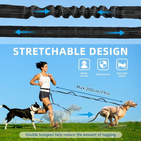 Dual Dog Leash | Hands Free Dog Leash 2 Dogs | Double Dog Leash for Walking & Training & Hiking | Shock Absorbing Reflective | 360°Swivel 2 Dog Coupler | No Pull Y Dog Leash (Tow Dog Leash) in Kuwait