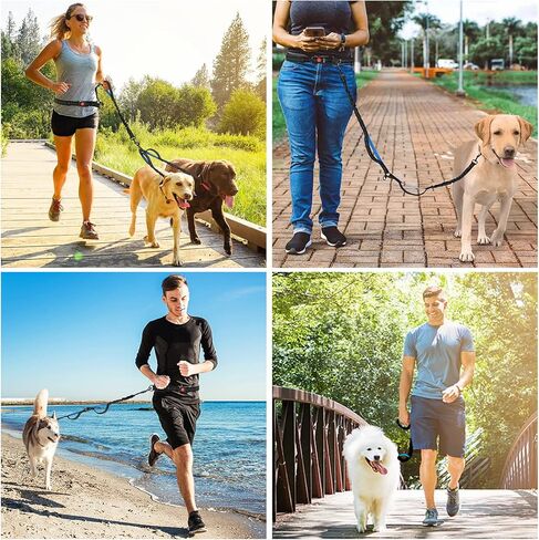 Dual Dog Leash | Hands Free Dog Leash 2 Dogs | Double Dog Leash for Walking & Training & Hiking | Shock Absorbing Reflective | 360°Swivel 2 Dog Coupler | No Pull Y Dog Leash (Tow Dog Leash) in Kuwait