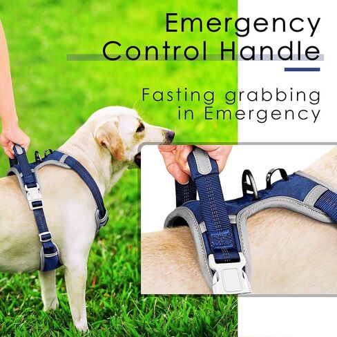 ThinkPet No Pull Harness Breathable Sport Harness with Handle-Dog Harnesses Reflective Adjustable for Medium Large Dogs,Back/Front Clip for Easy Control S Neon Green in Kuwait