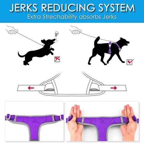 ThinkPet No Pull Harness Breathable Sport Harness with Handle-Dog Harnesses Reflective Adjustable for Medium Large Dogs,Back/Front Clip for Easy Control S Black in Kuwait
