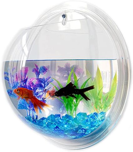 Mipcase Air Plants Fish Aquarium Fish Tank, Wall Mounted Fish Bowl Hanging Aquarium Fish Tank Vase Transparent Small Fish Tank for Home Office Room Decor (15cm Diameter) Betta Fish Tank Glass Vase in Saudi Arabia