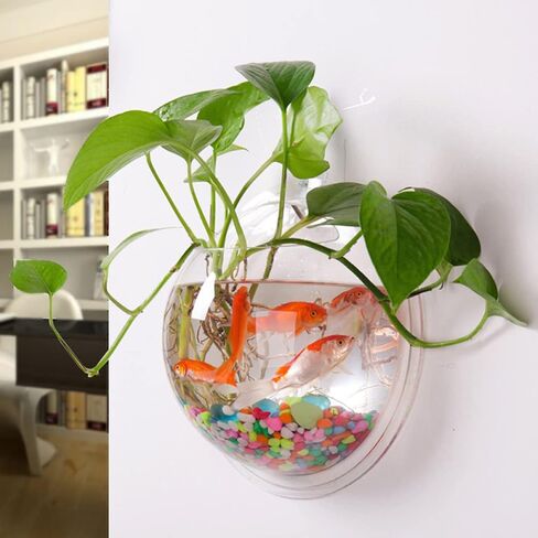 Mipcase Air Plants Fish Aquarium Fish Tank, Wall Mounted Fish Bowl Hanging Aquarium Fish Tank Vase Transparent Small Fish Tank for Home Office Room Decor (15cm Diameter) Betta Fish Tank Glass Vase in Saudi Arabia