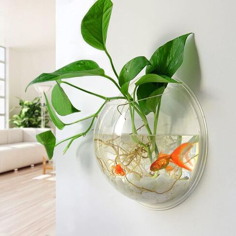 Mipcase Air Plants Fish Aquarium Fish Tank, Wall Mounted Fish Bowl Hanging Aquarium Fish Tank Vase Transparent Small Fish Tank for Home Office Room Decor (15cm Diameter) Betta Fish Tank Glass Vase in Saudi Arabia